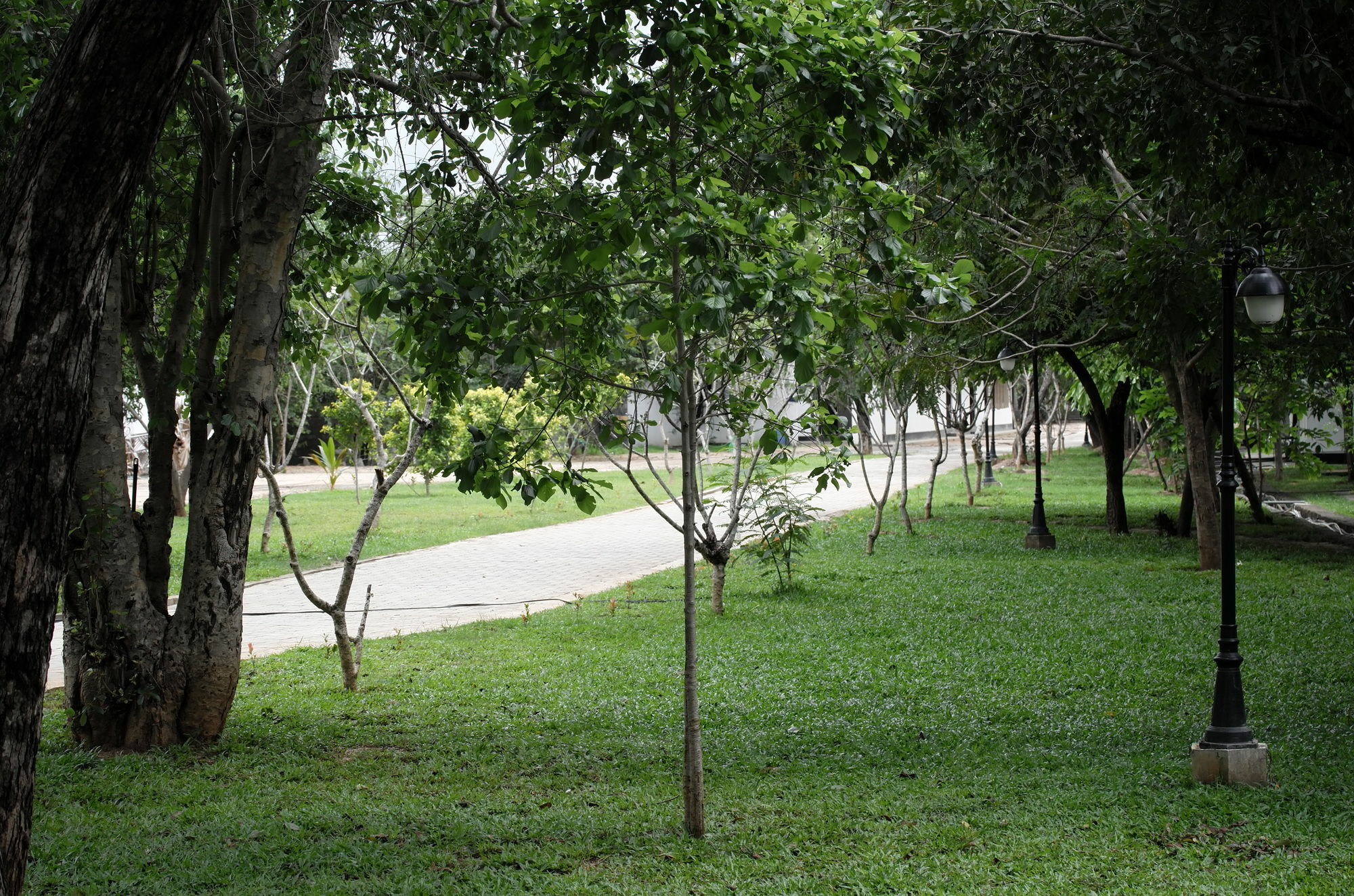 Oak Ray Elephant Lake Sigiriya Exterior photo
